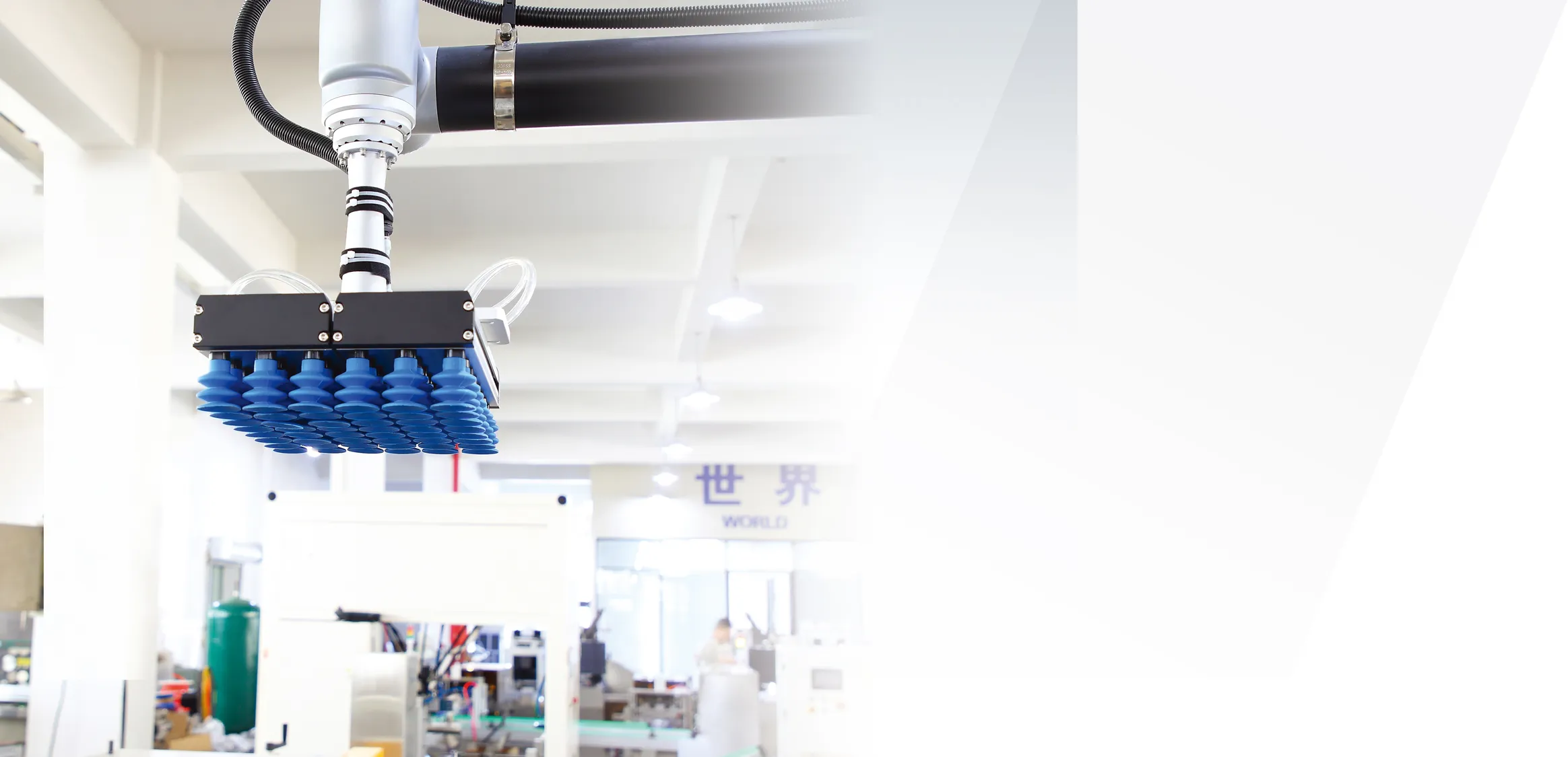 About Us Company Introduction Banner